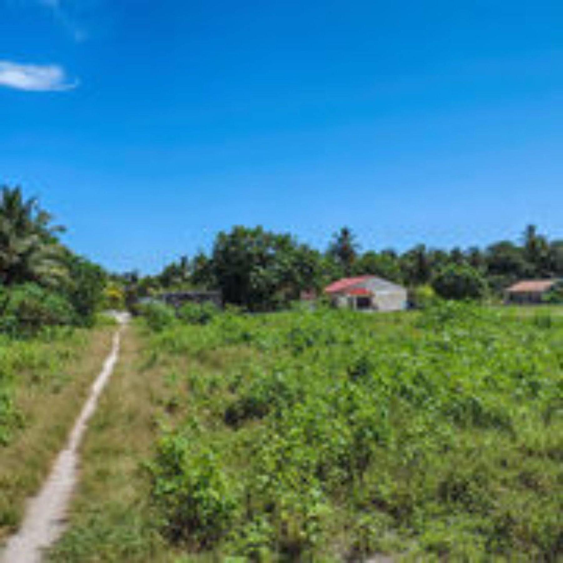 Feridhoo Inn Extérieur photo